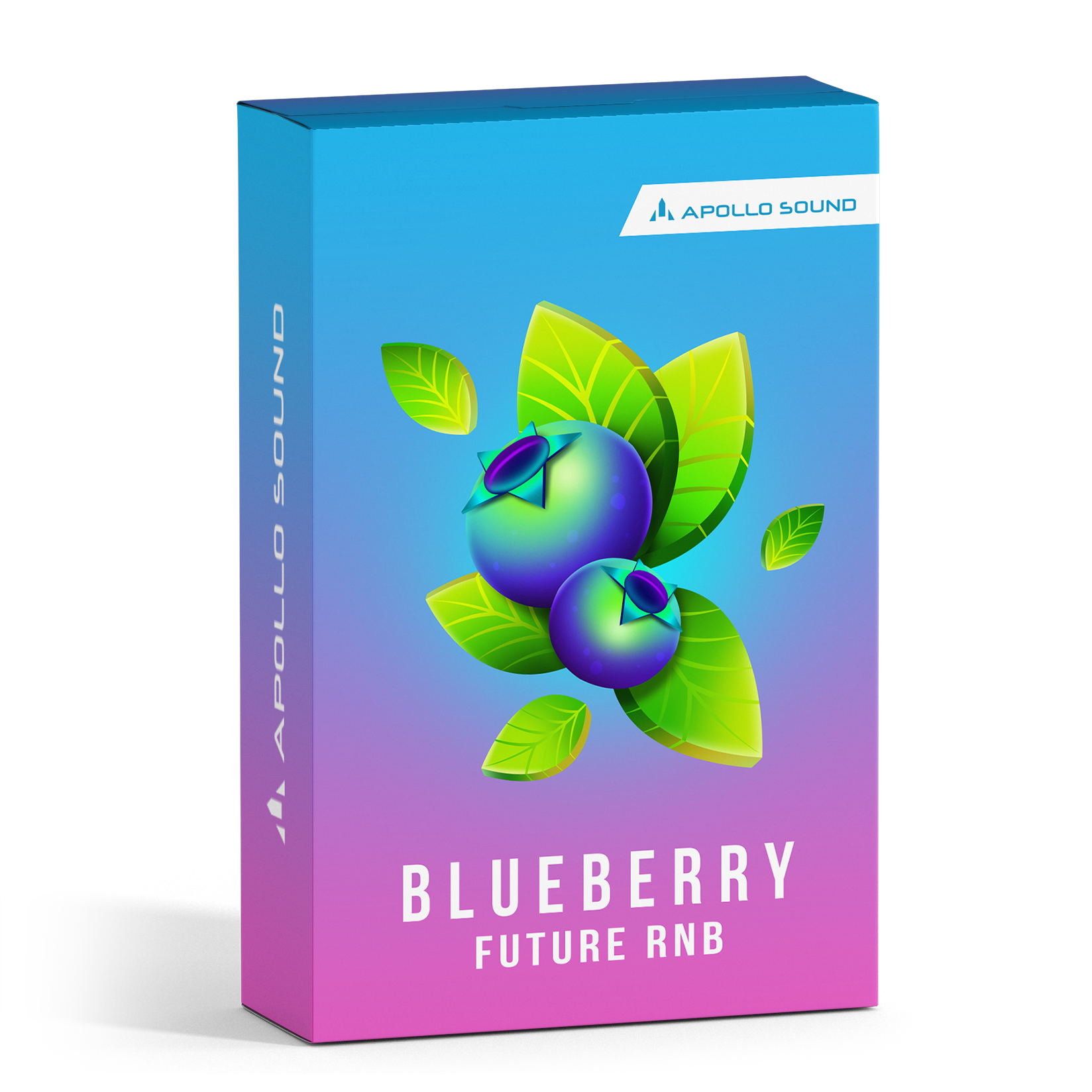 Blueberry Future RnB