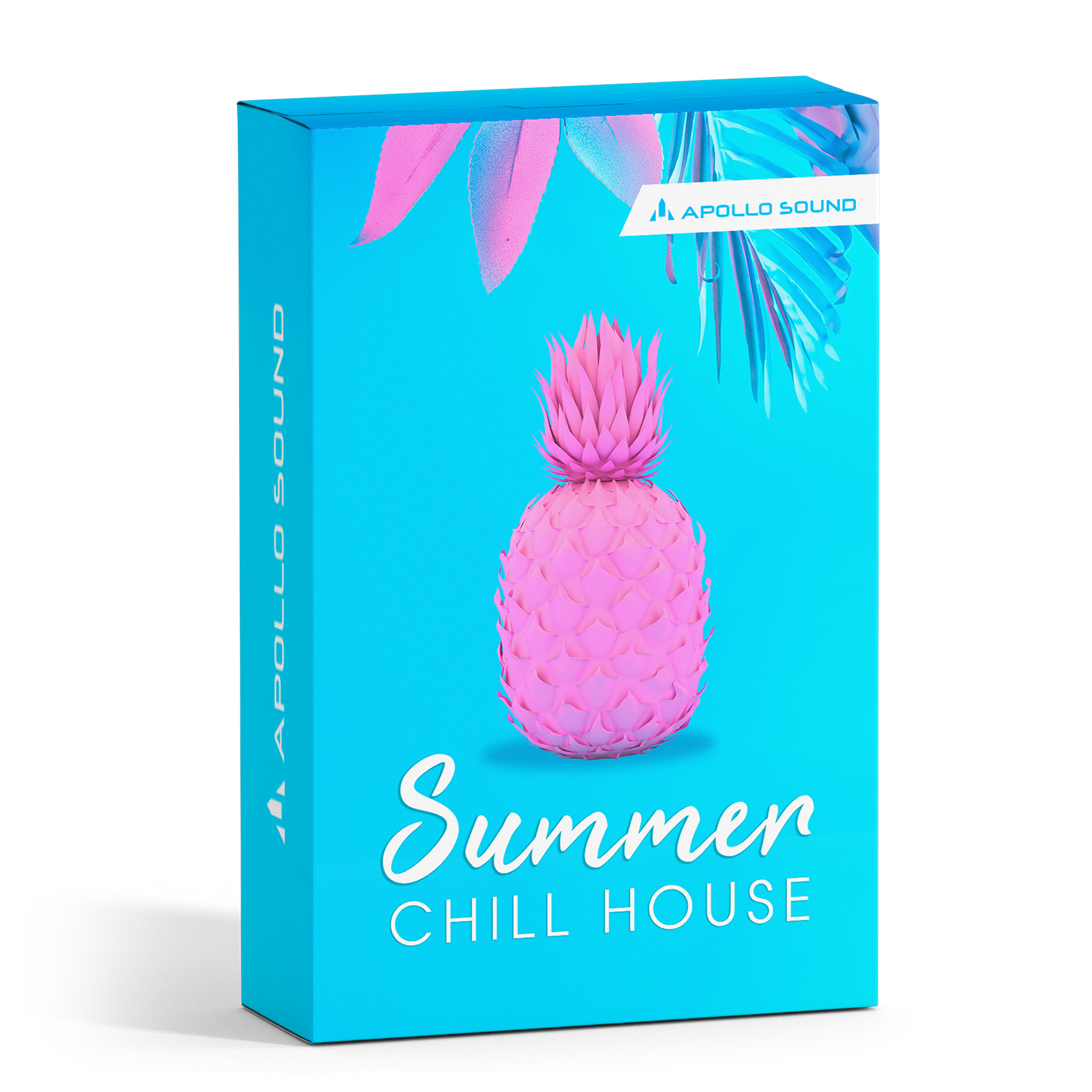 Summer Chill House